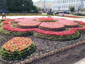 Центральные клумбы краевой столицы украсил ковровый узор из 174 тысяч цветов