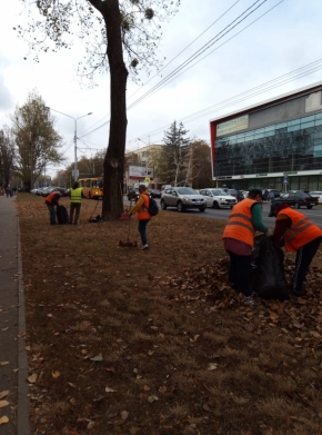 Ежедневно с улиц Ставрополя убирают опавшую листву