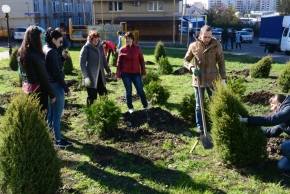 Более 500 растений высадили в Ставрополе на аллее ветеранов