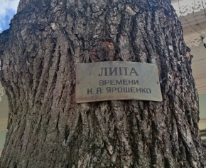 К акции "Мемориальные деревья России" присоединился Кисловодск