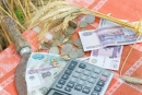 Увеличена бюджетная поддержка начинающих фермеров Ставрополья