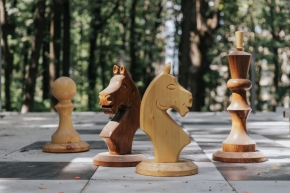 Шахматный домик появился в Ставрополе
