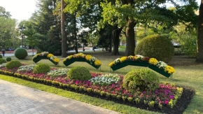 В историческом центре Ставрополя вандалы испортили цветник
