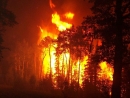 Проблему ландшафтных пожаров поднял губернатор Ставрополья