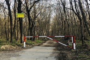 Дополнительные меры по защите лесопарковых зон приняли в Железноводске