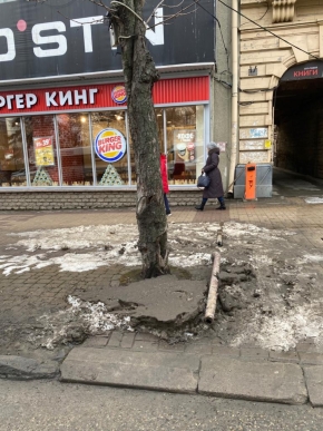 На неудовлетворительное санитарное состояние одного из районов отреагировал глава Ставрополя