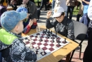 В Невинномысске прошло первенство города по шахматам