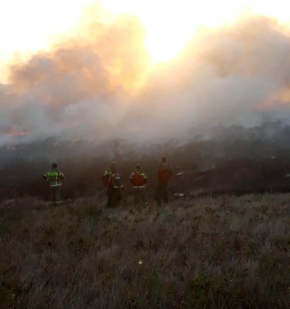Крупный ландшафтный пожар потушили под Ставрополем