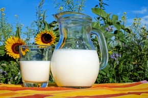 Молочные продукты, восстанавливающие после ковида, разработают на Ставрополье