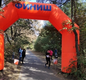 Спортсмены-ориентировщики вышли на старт в Таманский лес Ставрополя