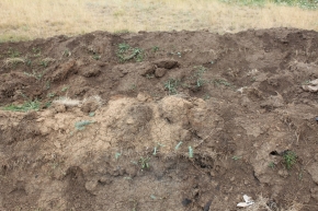 Плодородный слой почвы уничтожили на территории Национального парка «Кисловодский»