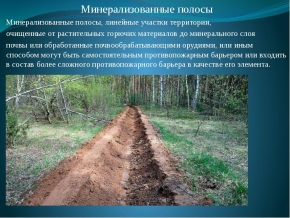 Полторы сотни километров минерализованных защитных полос обустроили в лесах Ставрополя