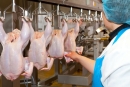 В 30 стран мира экспортируют ставропольское мясо птицы
