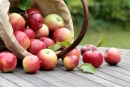 Яблочный Спас - первый урожай, знамение осени