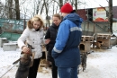 Госдума России приняла долгожданный законопроект «Об ответственном обращении с животными», который безуспешно пытались принять почти 20 лет, с 1999 года