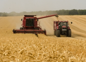 Первый миллион тонн зерна убрали с полей на Ставрополье
