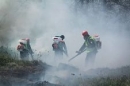 По горячим следам ЧП в Кисловодске, где на минувшей неделе выгорело 5,5 гектара ландшафта