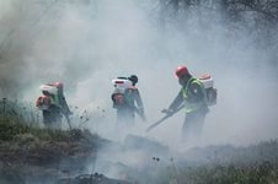 Пожар в кисловодске. Тушение ландшафтного пожара воздуходувкой. Воздуходувки для тушения пожара. Тушение ландшафтных пожаров ВСКС. Пожарная охрана леса.