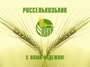Губернатор Ставрополья Владимир Владимиров обсудил реализацию сельхозпроектов с главой «Россельхозбанка»