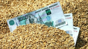 118 млн рублей субсидий получили ставропольские овощеводы