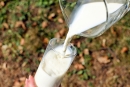 Правила продажи молочки изменились в России